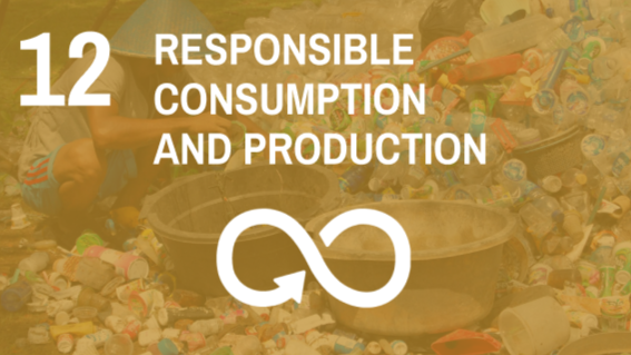 SDG 12 - Responsible Consumption