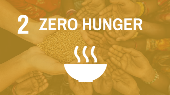 SDG 2 - Zero Hunger